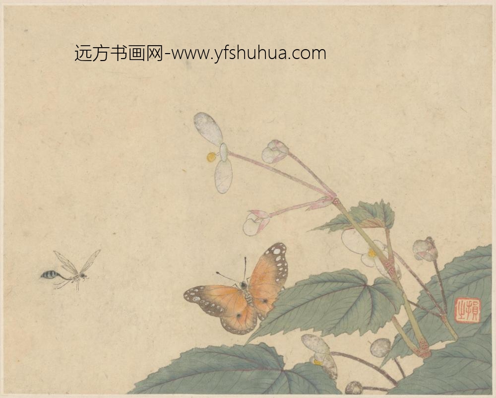 损之-金陵名笔集胜-画花蝴册页
