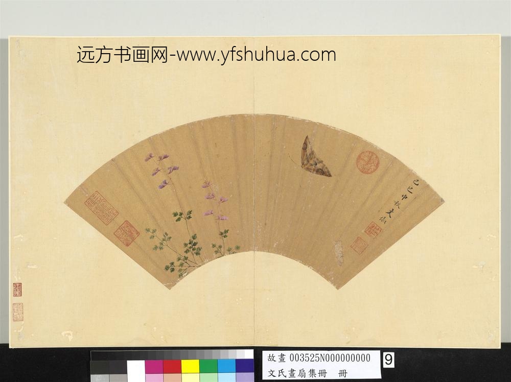 文氏画扇集册册-明文俶花蝶