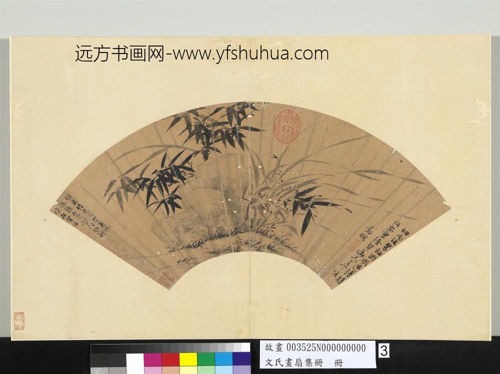 文氏画扇集册册-明文征明墨兰竹石
