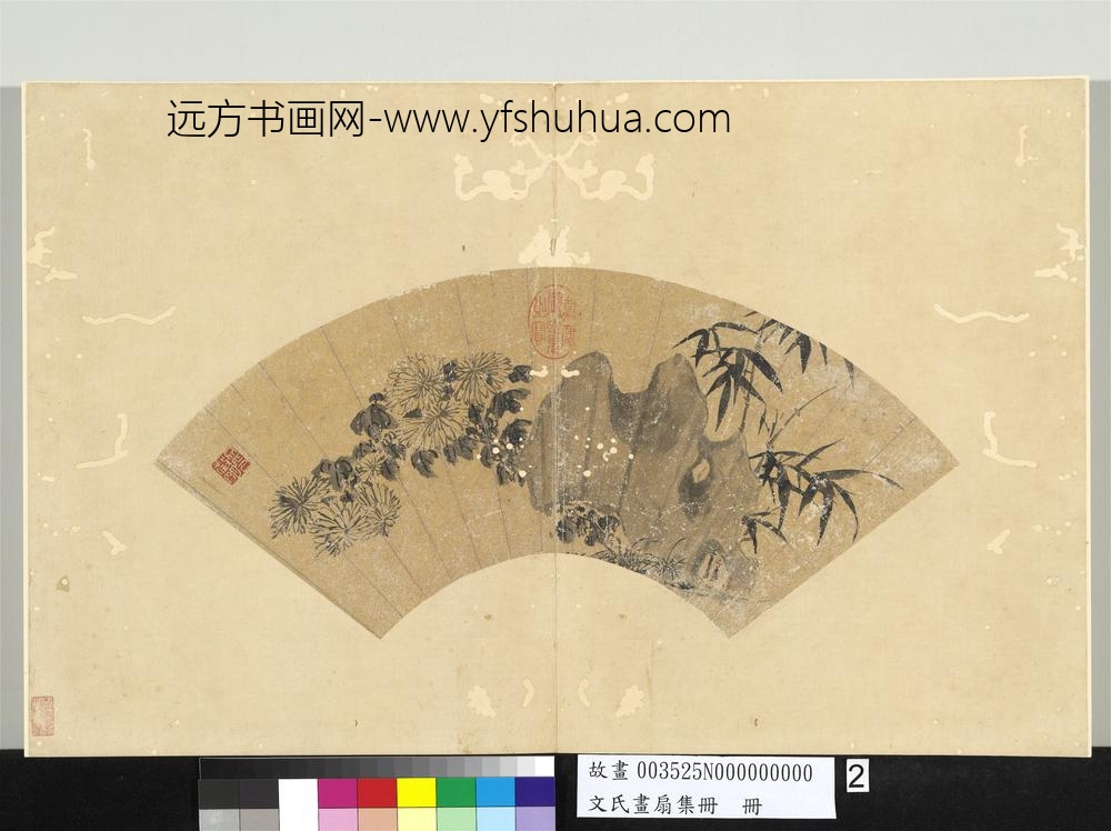 文氏画扇集册册-明文征明墨菊竹石