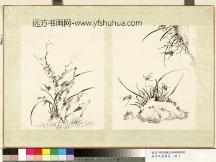 无名氏画兰花册 兰花（一）.jpg