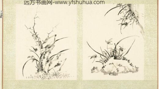 无名氏画兰花册 兰花（一）.jpg