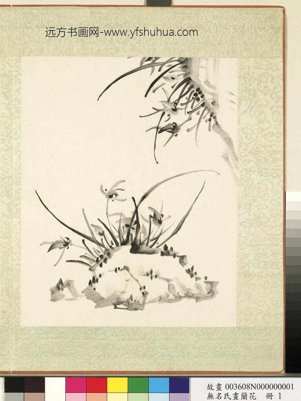 无名氏画兰花册-兰花（一）