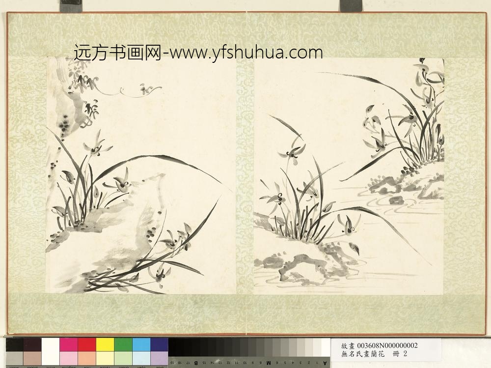 无名氏画兰花册-兰花（三）
