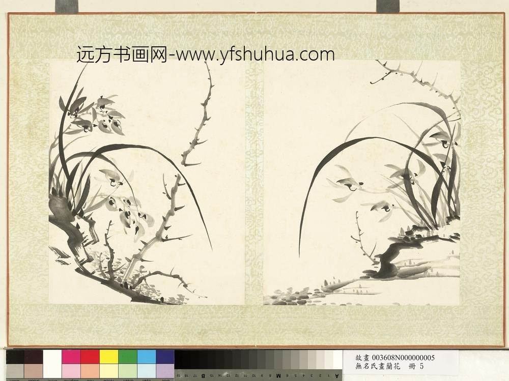 无名氏画兰花册-兰花（九）