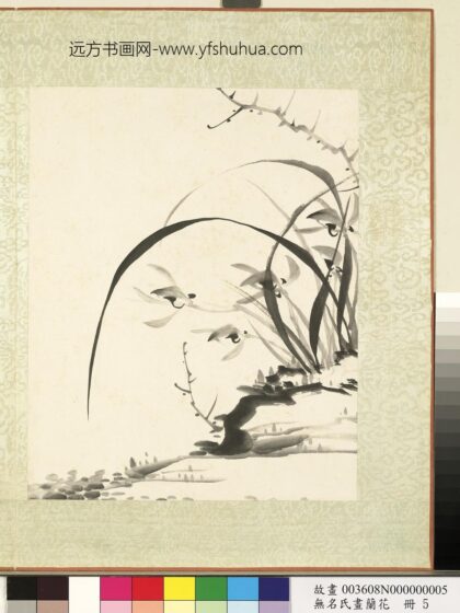 无名氏画兰花册 兰花（九）.jpg
