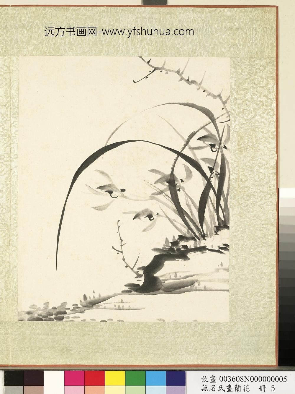 无名氏画兰花册-兰花（九）