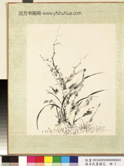 无名氏画兰花册 兰花（二）.jpg