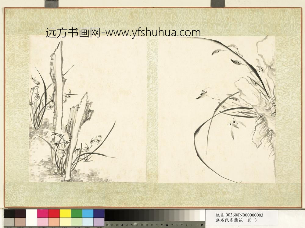 无名氏画兰花册-兰花（五）