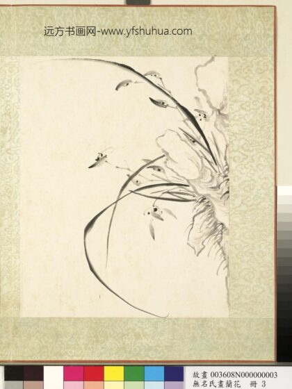无名氏画兰花册 兰花（五）.jpg
