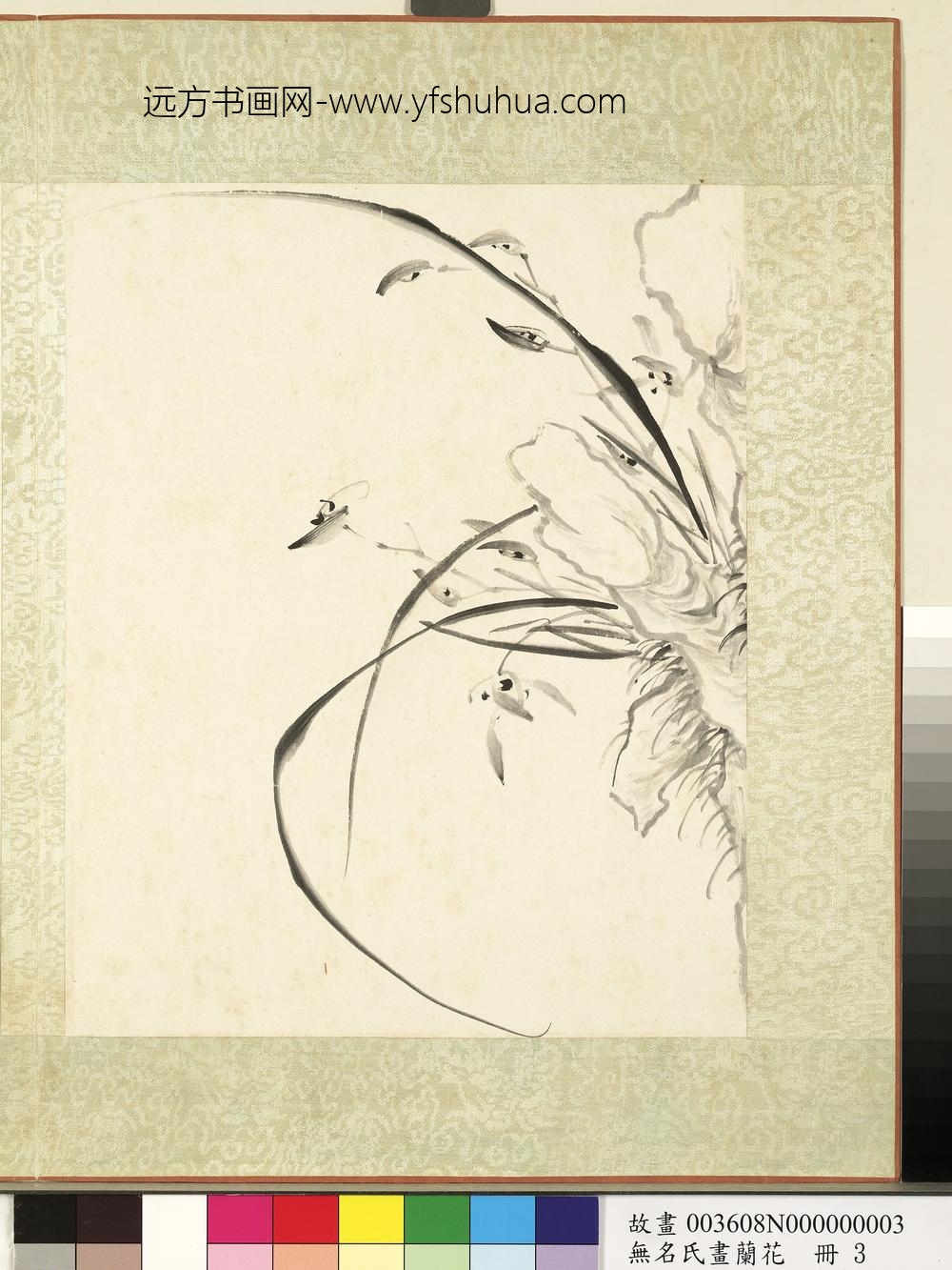 无名氏画兰花册-兰花（五）