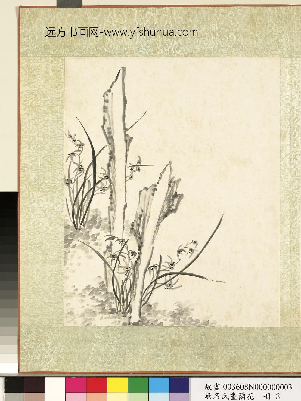 无名氏画兰花册-兰花（六）
