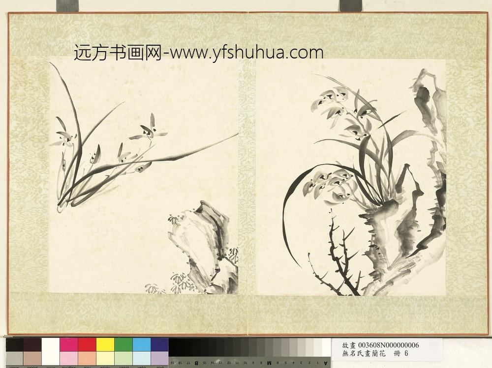 无名氏画兰花册-兰花（十一）