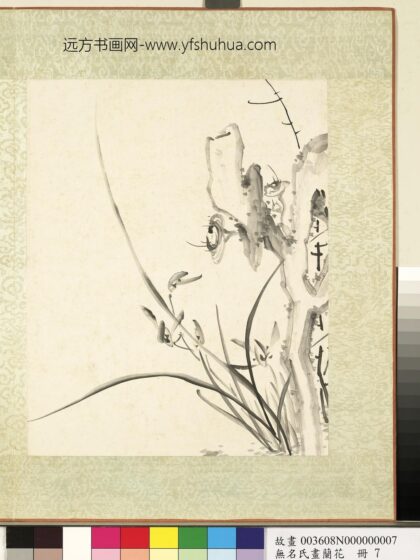 无名氏画兰花册 兰花（十三）.jpg