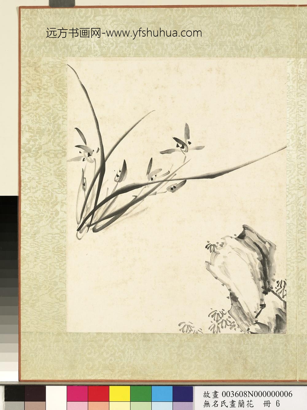 无名氏画兰花册-兰花（十二）