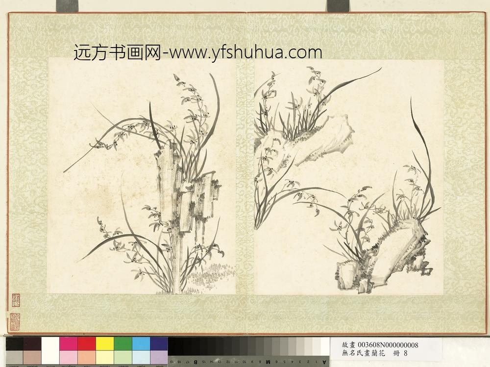 无名氏画兰花册-兰花（十五）
