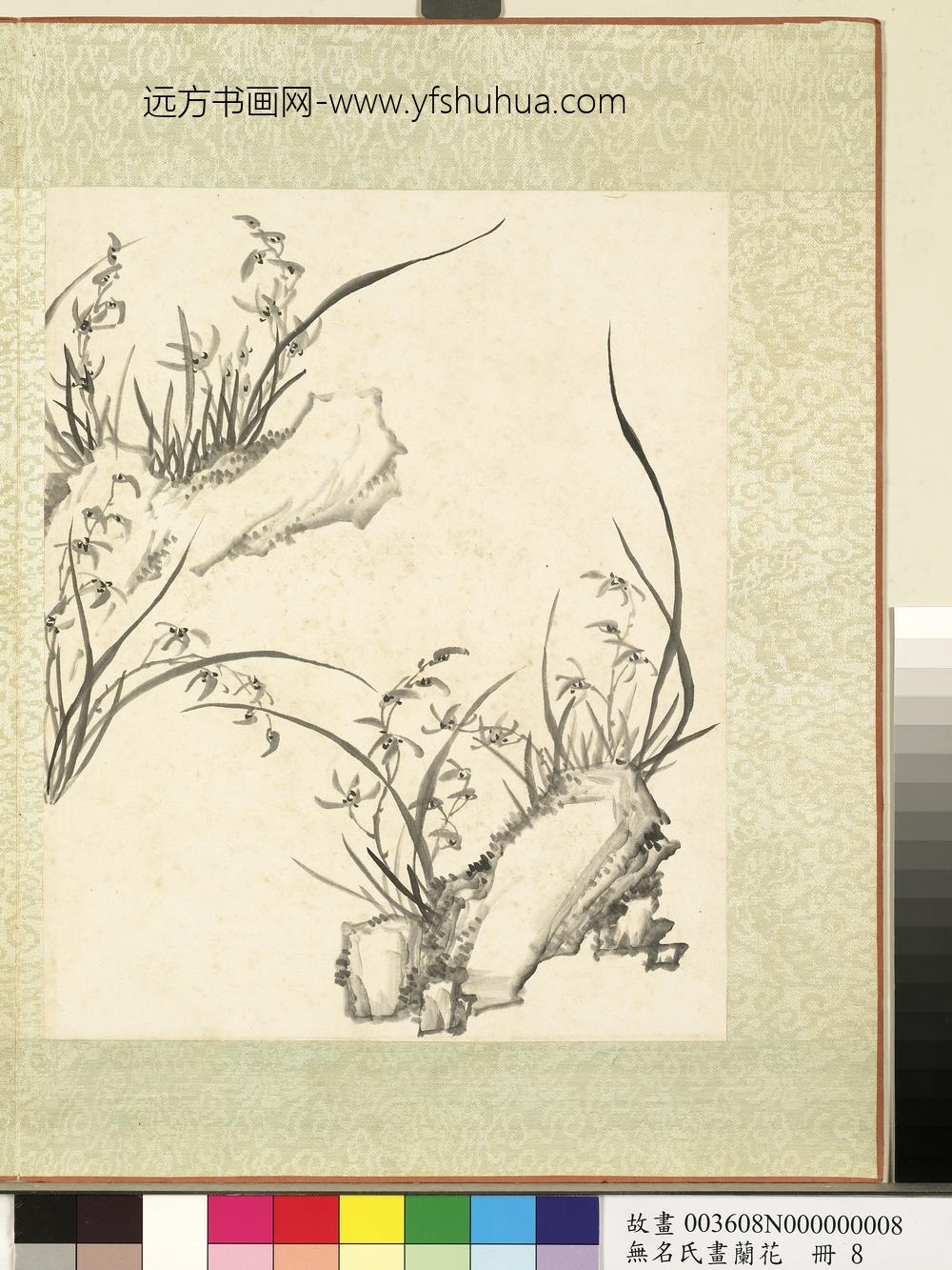 无名氏画兰花册-兰花（十五）