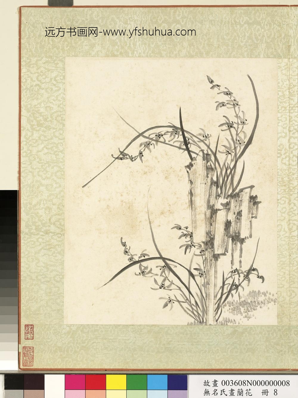无名氏画兰花册-兰花（十六）