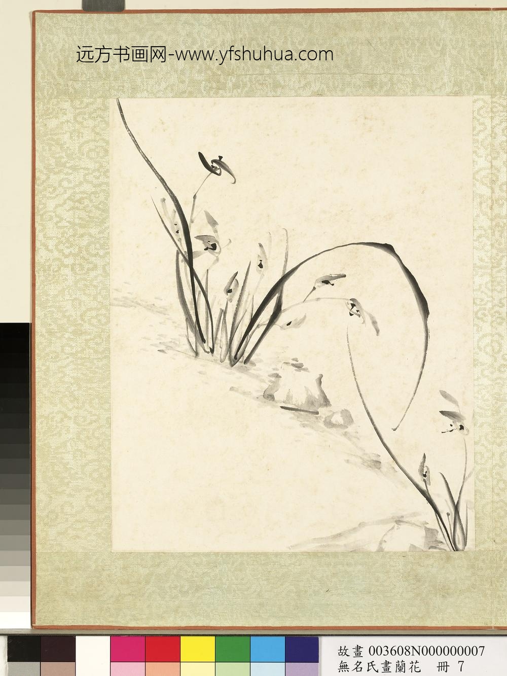 无名氏画兰花册-兰花（十四）