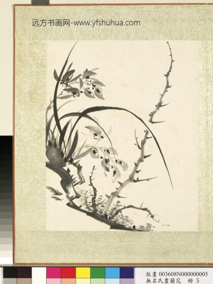 无名氏画兰花册 兰花（十）.jpg