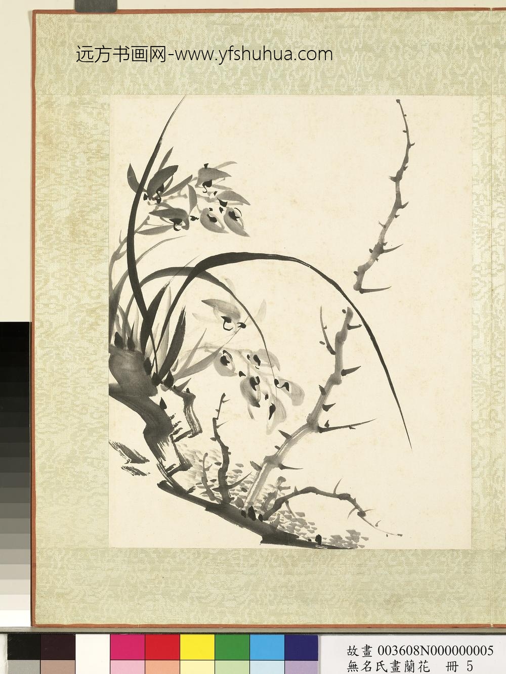 无名氏画兰花册-兰花（十）