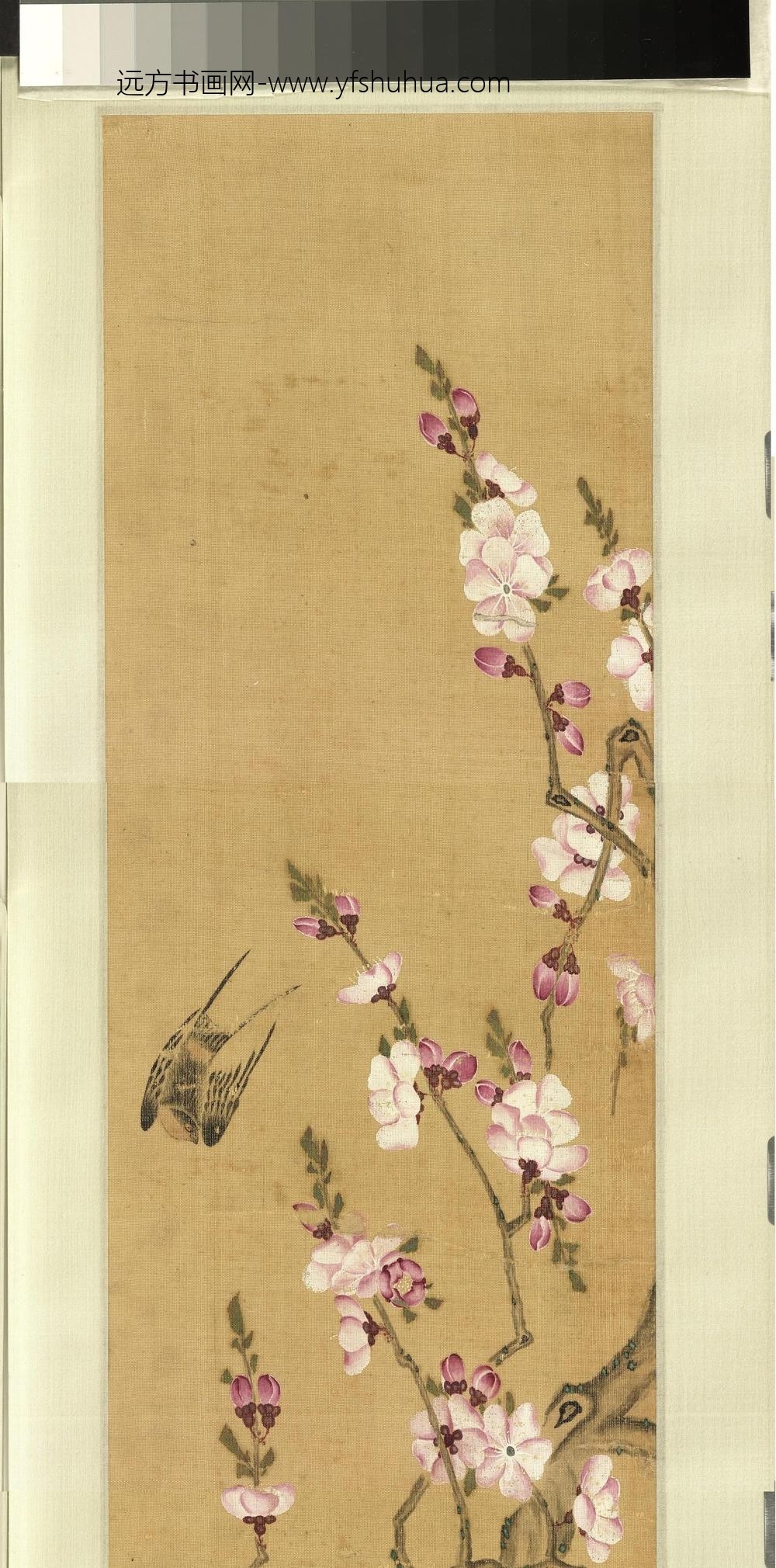 无名氏画花卉（二）卷_