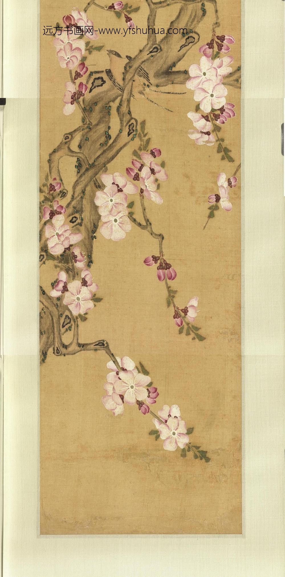 无名氏画花卉（二）卷_