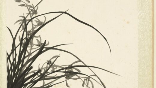 无名氏画花鸟册 兰花.jpg