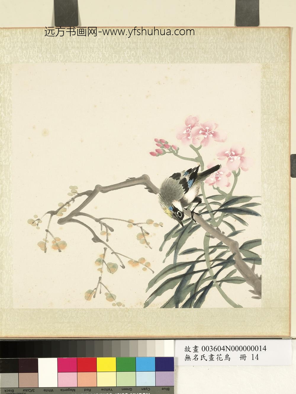 无名氏画花鸟册-夹竹桃