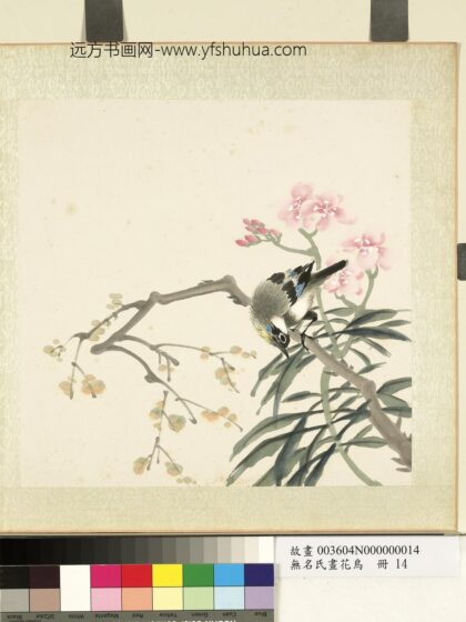 无名氏画花鸟册 夹竹桃.jpg