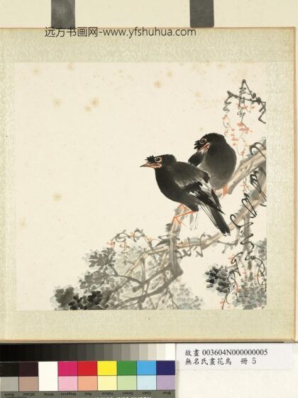 无名氏画花鸟册 柏树.jpg