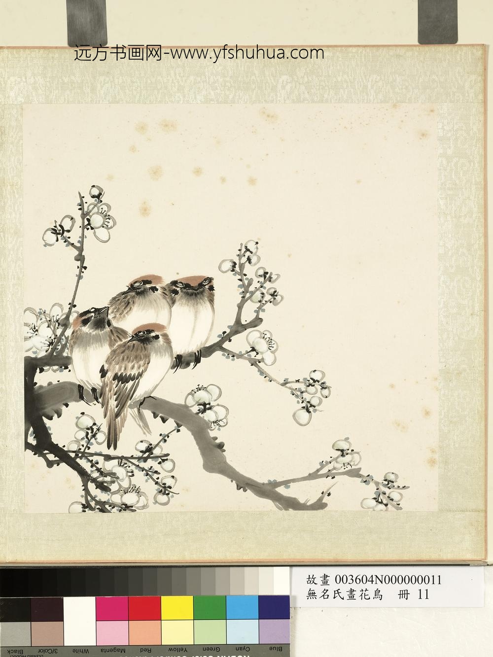无名氏画花鸟册-白梅