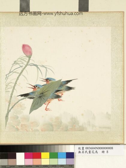 无名氏画花鸟册 荷花.jpg