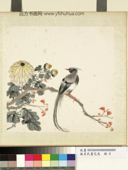 无名氏画花鸟册 菊树.jpg
