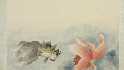 无名氏画鱼册 金鱼九.jpg