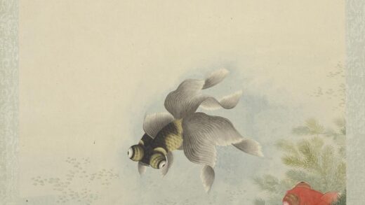 无名氏画鱼册 金鱼二.jpg