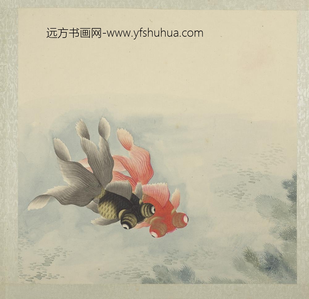 无名氏画鱼册-金鱼十二