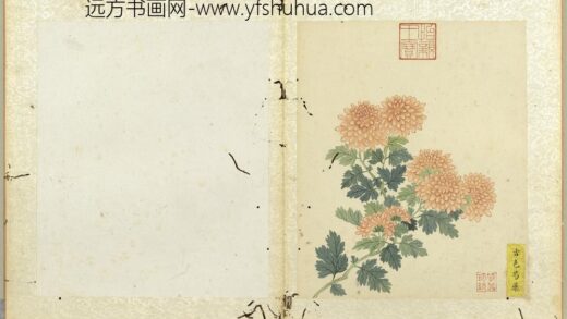 无款菊绘册册古色芍药.jpg
