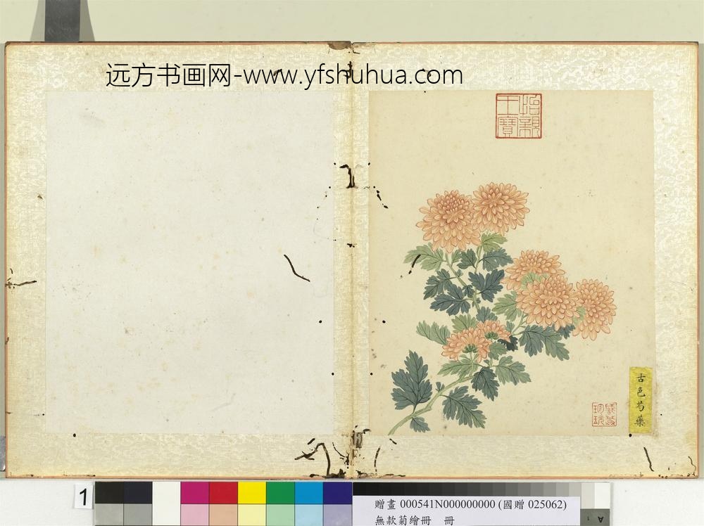 无款菊绘册册古色芍药