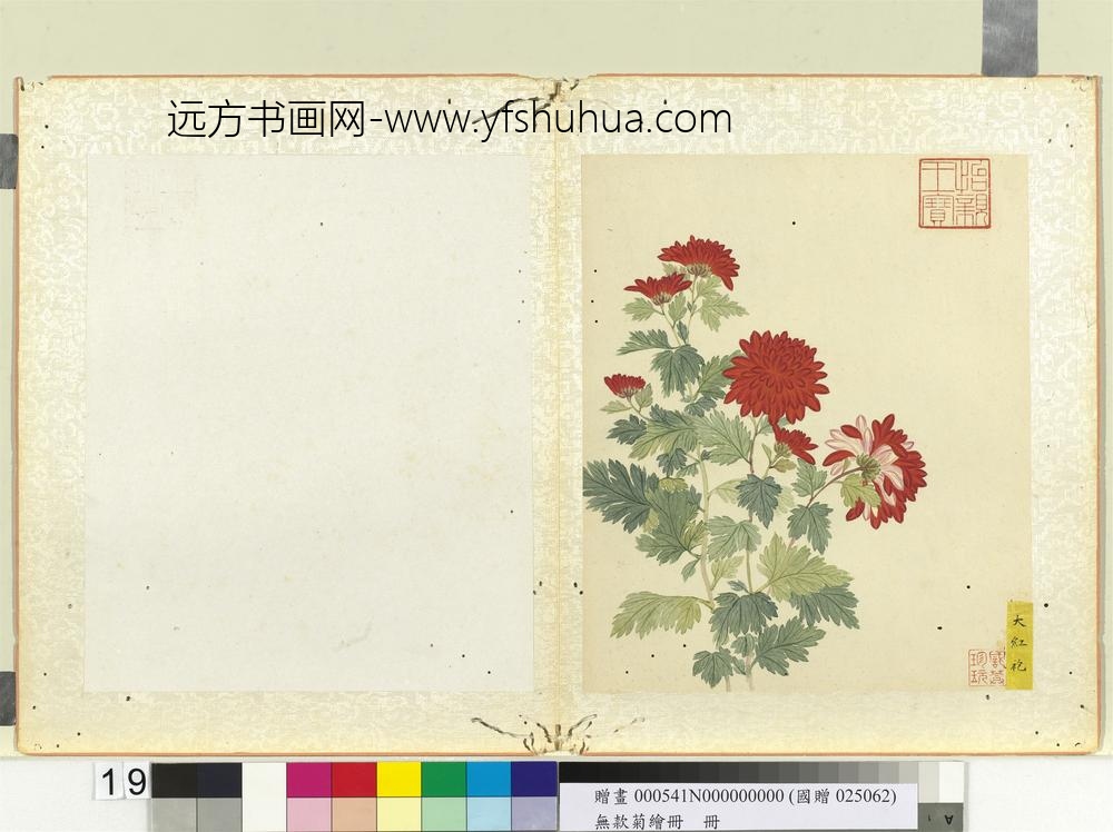 无款菊绘册册大红袍