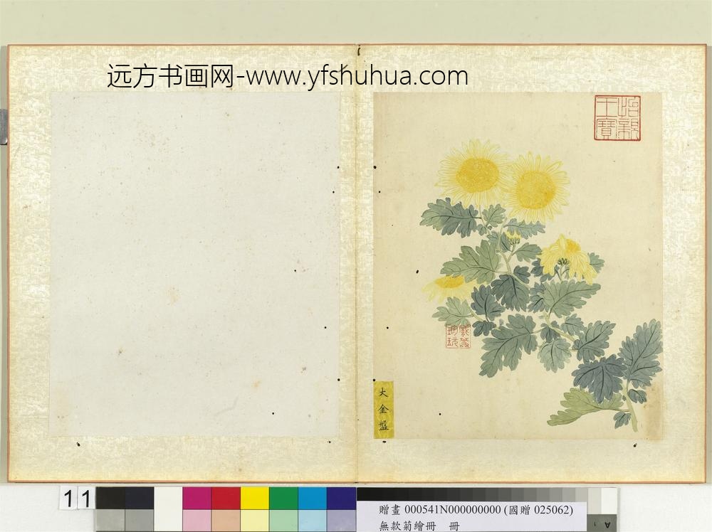 无款菊绘册册大金盘