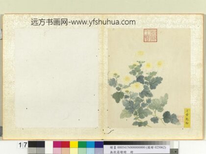无款菊绘册册小黄鹤翎.jpg