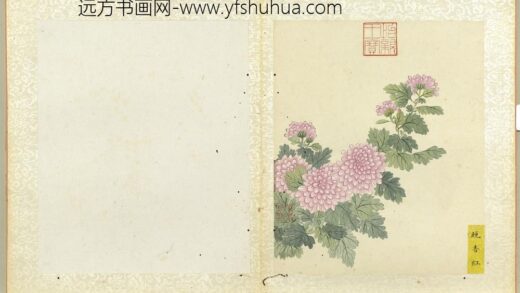 无款菊绘册册晚香红.jpg
