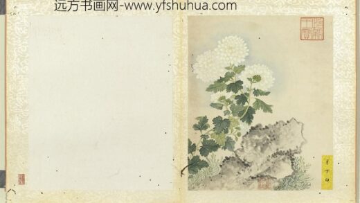 无款菊绘册册月下白.jpg
