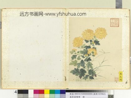无款菊绘册册桂花球.jpg