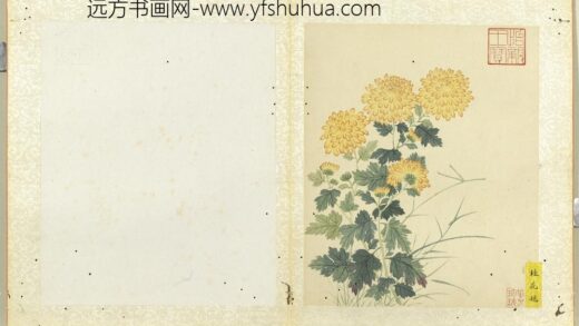 无款菊绘册册桂花球.jpg