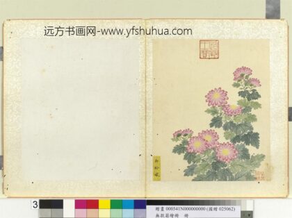无款菊绘册册粉玲珑.jpg