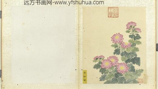 无款菊绘册册粉玲珑.jpg