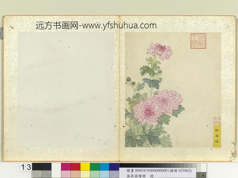无款菊绘册册粉西施