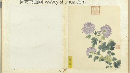 无款菊绘册册紫幢.jpg